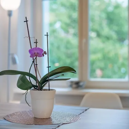 Apartment Gala V Secesni Soukrome Parkovani U Domu Zdarma *